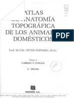 Atlas de Anatomia Topografica de Los Animales Domesticos (Peter Popesko) Tomo I