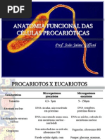 Aula 1. Anatomia Funcional Das Celulas Procarioticas Publicacao (1)