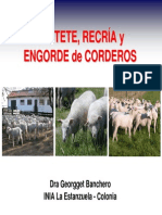 Destete, Recría y Engorde de Corderos - G Banchero - Lascano 13-10-2011