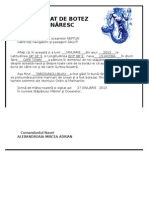Certificat de Botez Marinaresc - Felicia