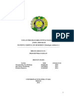 PKM Pengolahan Buah Kersen-Libre