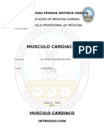 Informe Musculo Cardiaco