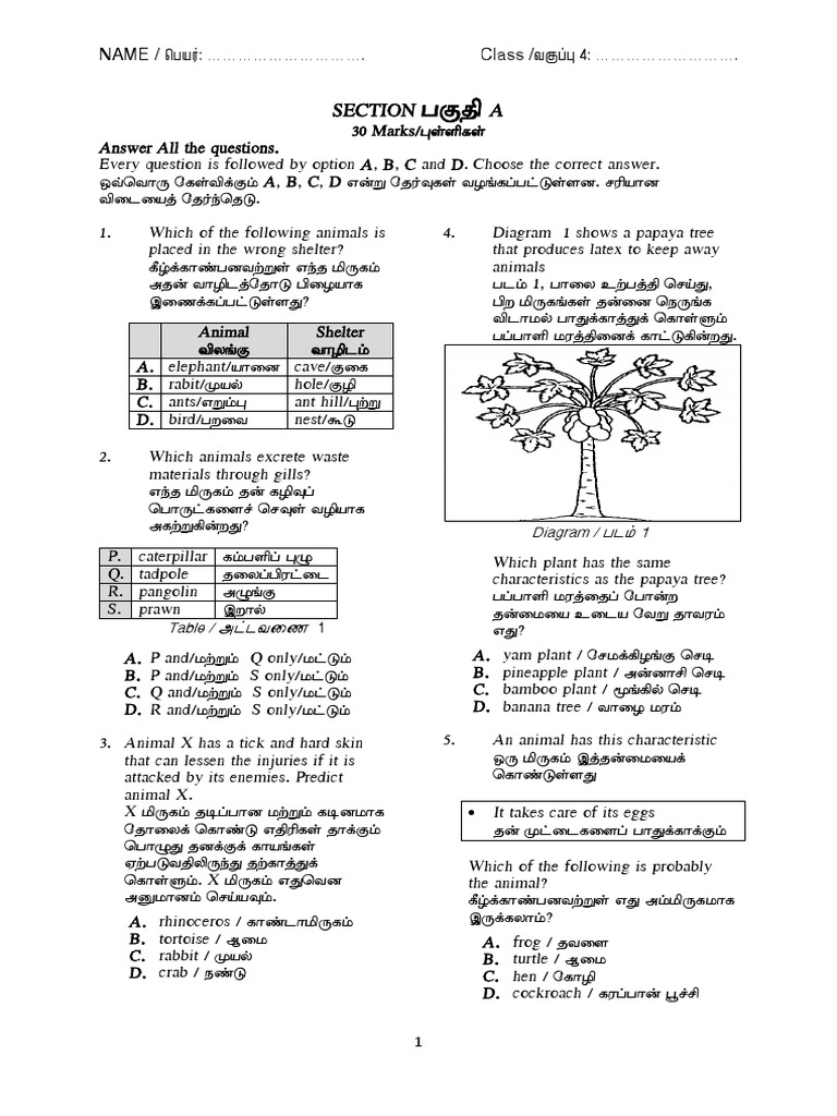 Science STD 4 | PDF