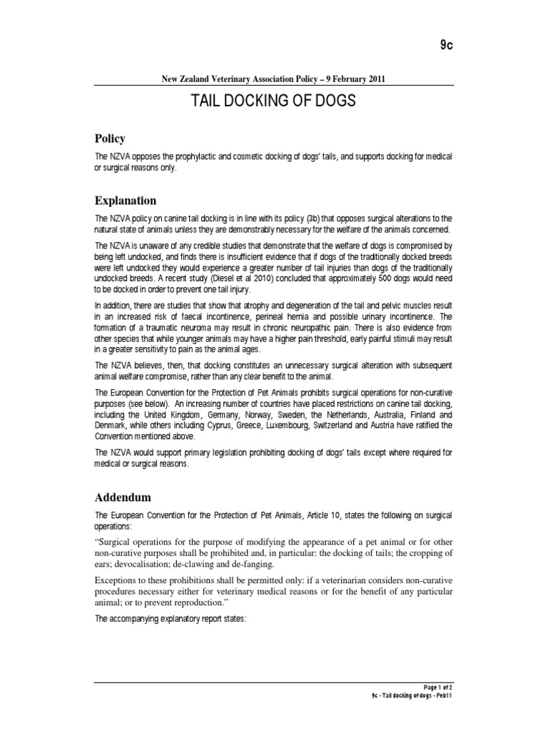 Tail Docking (Caudectomy) PDF Animals And Humans Domesticated Animals