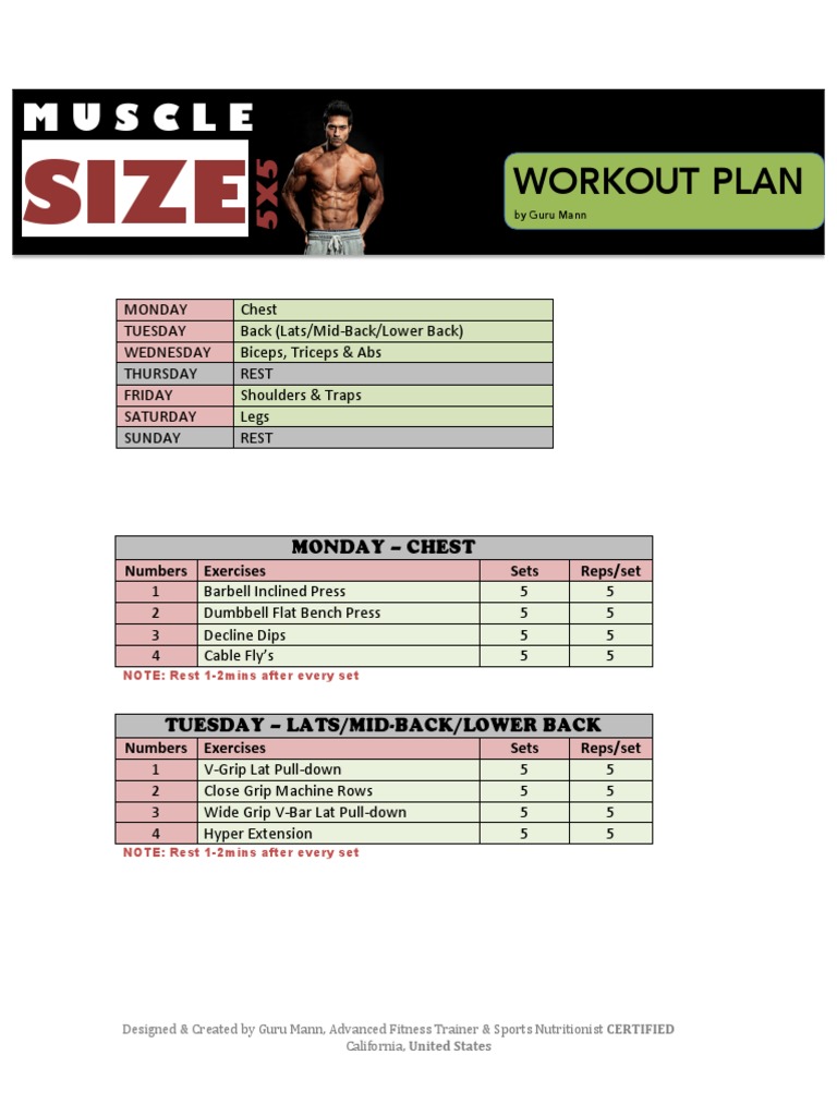 Muscle Size 5x5 Workout Plan PDF Hobbies Sports
