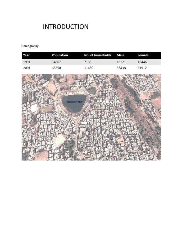 Demographic Overview and Analysis | PDF
