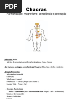 Chacras Magnetismo e Harmonização