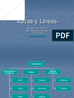 Razas y Lineas