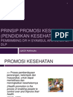 Prinsip Promosi Kesehatan (Pendidikan Kesehatan) : Pembimbing DR H Syamsul Arifin, M.PD, DLP