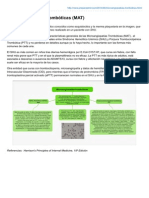Microangiopatas Trombticas MAT PDF