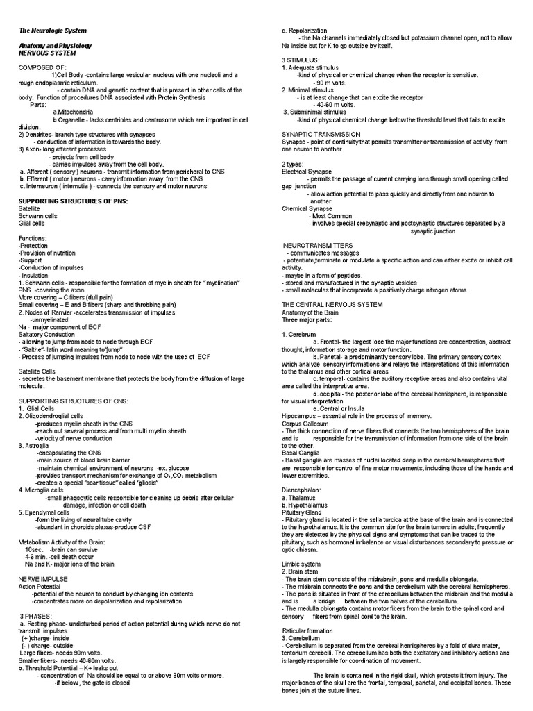 The Neurologic System | Autonomic Nervous System | Spinal Cord