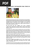 Ebos Para Todos Os Fins