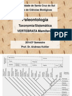 Paleonto 14 Vertebrados Mamiferos