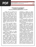003 - Formação de Pastagens.pdf