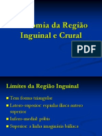 Anatomia+da+Região+Inguinal+e+Crural 1