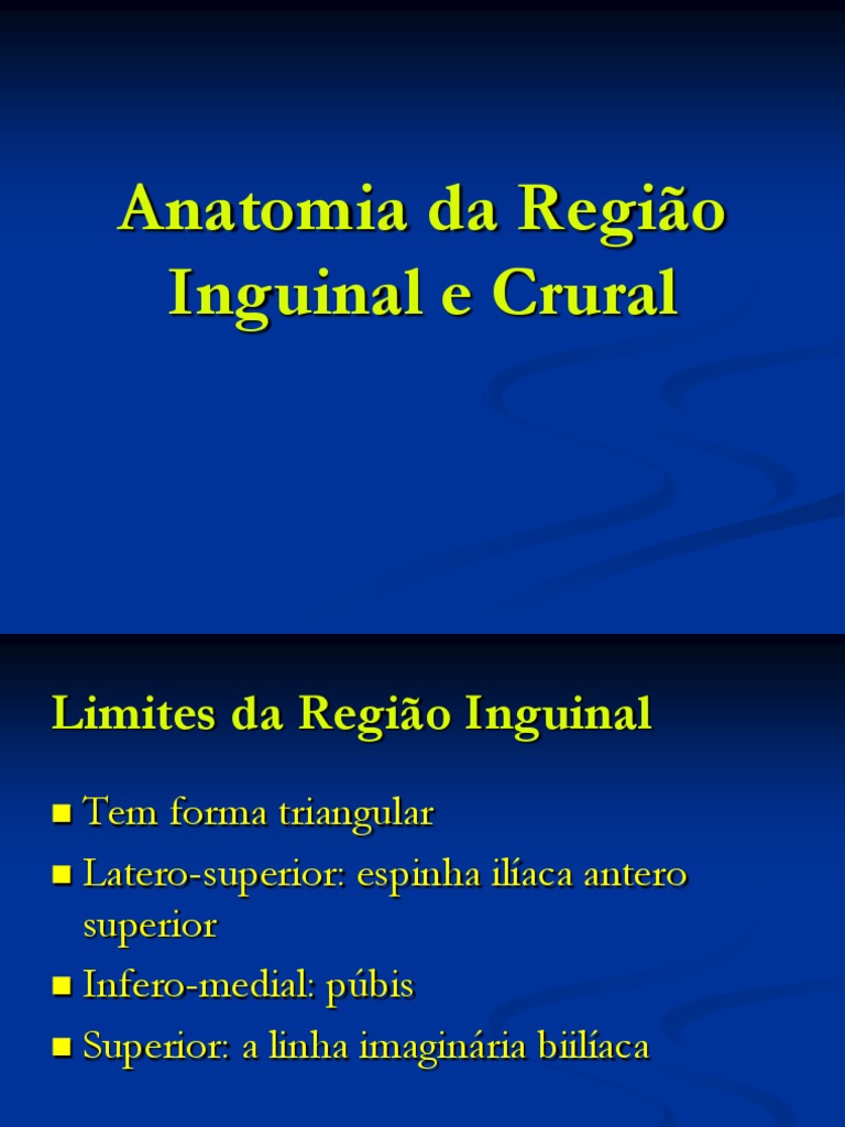 Anatomia da Região Inguinal e Crural | PDF | Anatomia humana | Anatomia