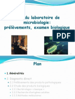 Cours Ifsi Role Du Laboratoire de Microbiologie Nathalie Grall 1