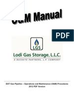 GasPipelineSafetyOIR Plea LGS 20130701 280554atch09 280563