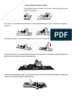 Plan de Ejercicios para Columna