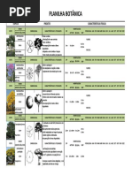 Planilha Botanica