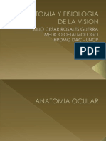 Anatomia y Fisiologia de La Vision