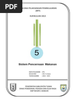 sistem pencernaan Manusia PPT