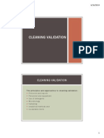 Cleaning and Computerized Validation
