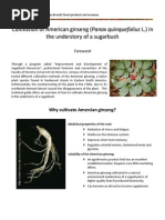 Culltivation of American ginseng.pdf
