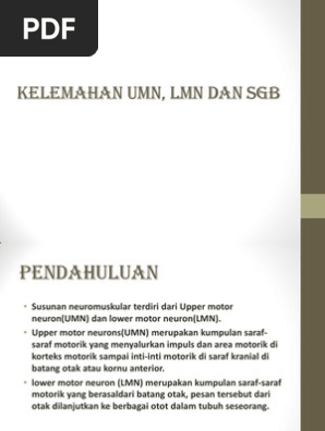 Kelemahan Lmn Umn Sgb
