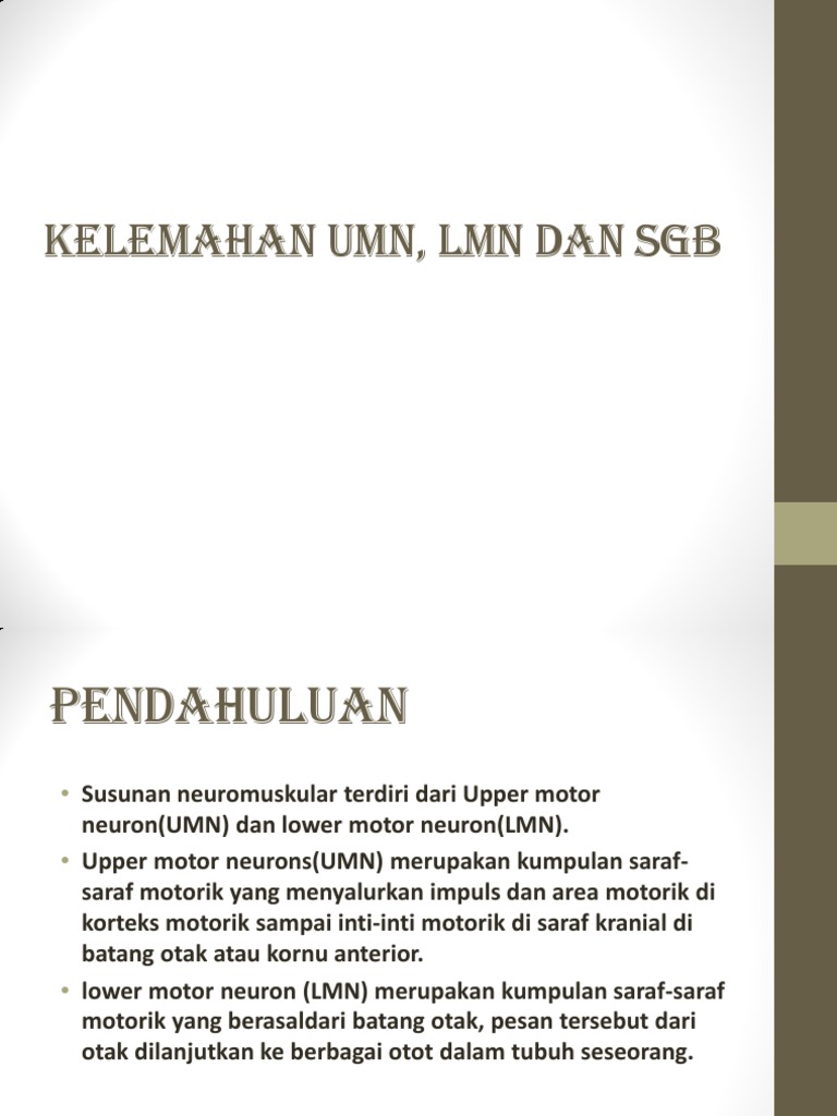 Kelemahan Lmn Umn Sgb