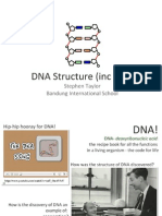 IB DNA_Structure