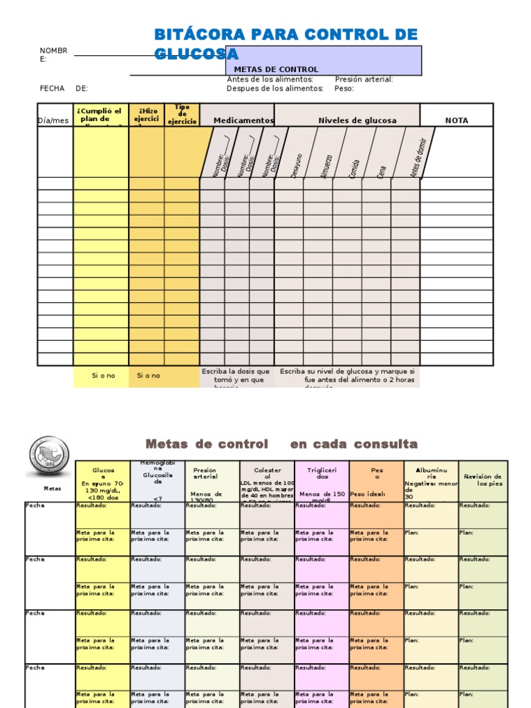 Bitacora para Control de Glucosa Version 2 | PDF