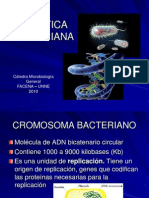 Genetica.bacteriana.1670837008