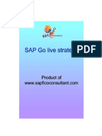 22933926 SAP Go Live Strategy