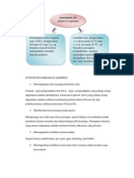 Fungsi Penambahan Eksipien Pada Sediaan Parenteral