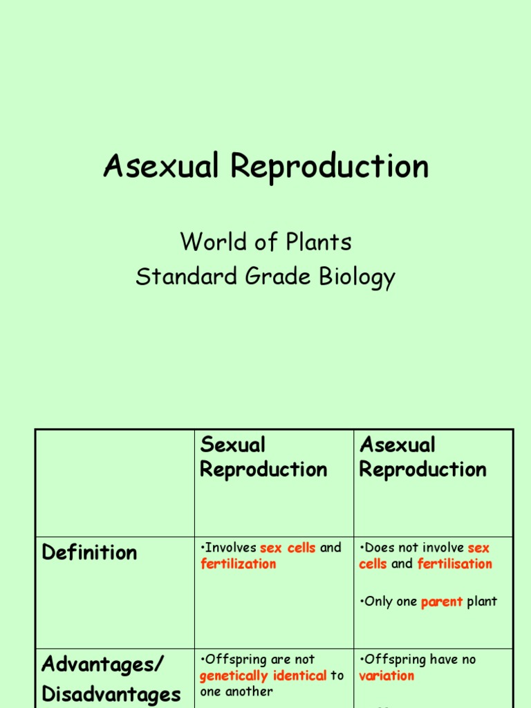 Asexual Reproduction Methods in Plants Tubers, Bulbs, Runners and the