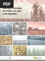 Mip Monsanto