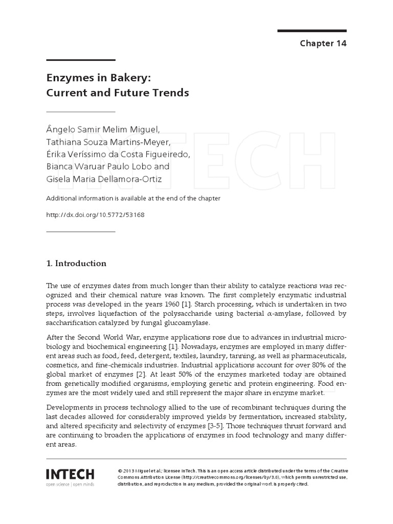 Enzymes in Bakery Breads Gluten