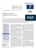 Preparing the Root Canal