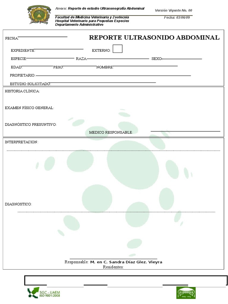 Reporte Ultrasonido Abdominal Veterinario | PDF
