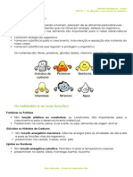 A.1.1 - Tipos e Funções Dos Nutrientes - Ficha Informativa