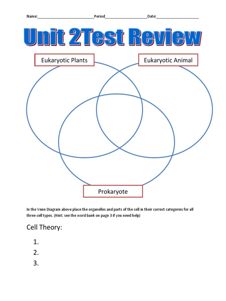 Eukaryotic Plants Eukaryotic Animal: Cell Theory: 1. 2. 3