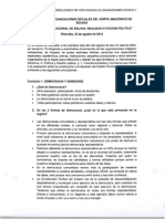 Conclusiones Pre Foro Nacional de Organizaciones Sociales. Riberalta