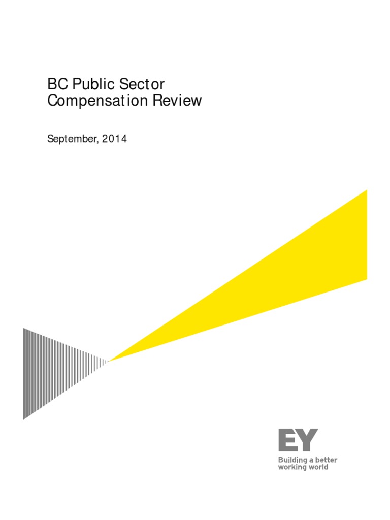 Ernst Young Public Sector Compensation Review Employment Salary 
