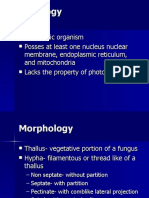 Eukaryotic Organism Posses at Least One Nucleus Nuclear Membrane, Endoplasmic