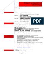 CV.pdf.doc
