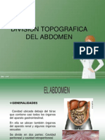 Division Topografica Del Abdomen