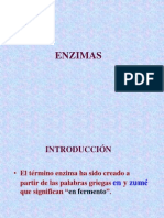 07 ENZIMAS