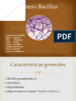 Bacillus y Listeria