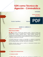 Adn Criminalistica